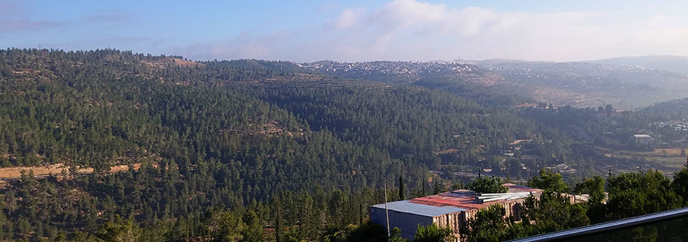 Ein Kerem Hotel Yerusalem Bagian luar foto