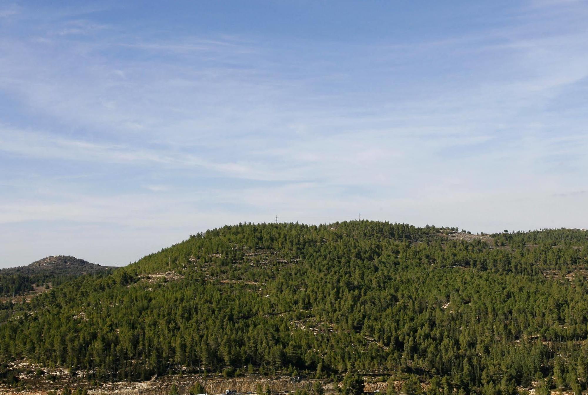 Ein Kerem Hotel Yerusalem Bagian luar foto